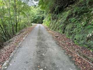 矢筈山・石堂山
