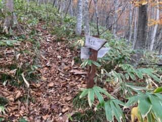 石上登山道