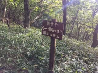 権現岳登山道