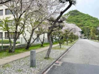 四国八十八ヶ所霊場 第51番札所 石手寺〜第52番札所 太山寺