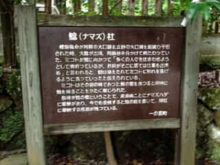 国造神社　鯰（ナマズ）社