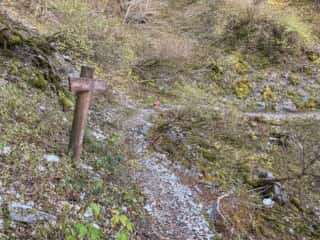 剣山登山道