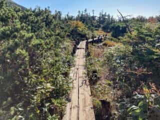 八甲田山 登山道