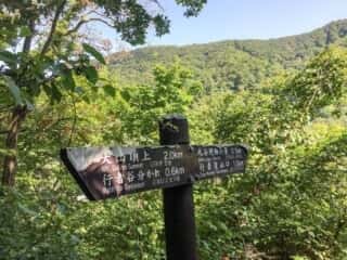 大山登山道