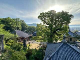 四国八十八ヶ所霊場 第68番札所 神恵院・第69番札所 観音寺