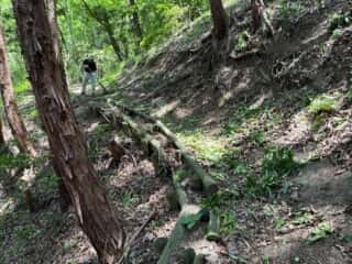 四国八十八ヶ所霊場 第87番札所 長尾寺〜第88番札所 大窪寺