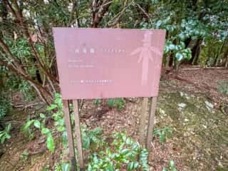 四国八十八ヶ所霊場 第31番札所 竹林寺