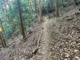 四国八十八ヶ所霊場 第21番札所 太龍寺〜第22番札所 平等寺