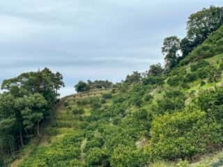 四国八十八ヶ所霊場 第36番札所 青龍寺～第37番札所 岩本寺