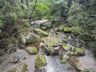 四国八十八ヶ所霊場 第11番札所 藤井寺〜第12番札所 焼山寺