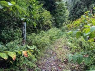 石の塔への山道