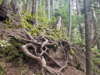 雌阿寒岳