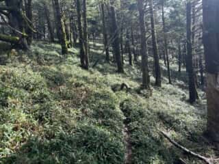 矢筈山・石堂山