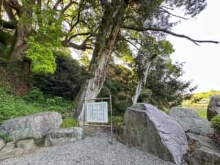 四国八十八ヶ所霊場 第67番札所 大興寺