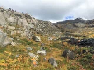 十勝岳望岳台登山口コース