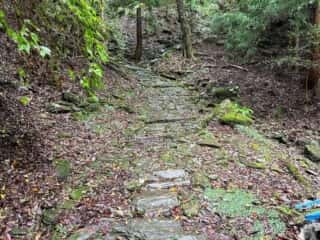 四国八十八ヶ所霊場 第11番札所 藤井寺〜第12番札所 焼山寺