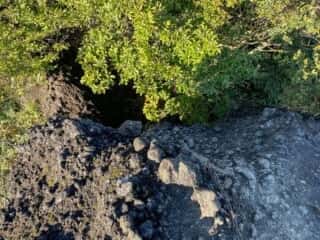 妙義山 登山道 鎖場 背びれ岩