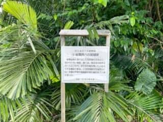 沖永良部島 後蘭孫八城跡