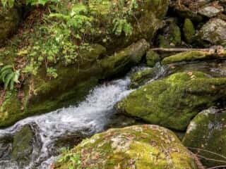 七折の滝から流れる清流