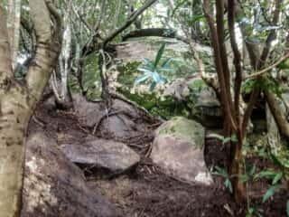 南側の岩場