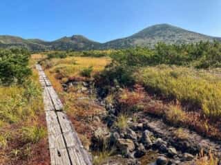 八甲田山 登山道