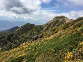 権現岳