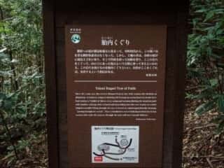 瀧尻王子宮　胎内くぐり