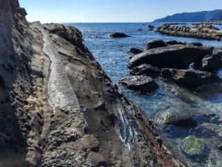 竜串海岸の奇石