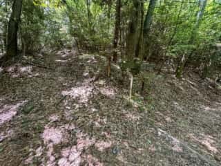 四国八十八ヶ所霊場 第81番札所 白峯寺〜第82番札所 根香寺
