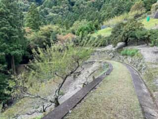 四国八十八ヶ所霊場 第12番札所 焼山寺〜第13番札所 大日寺