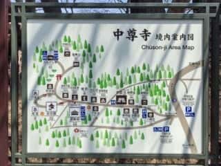 中尊寺　境内案内図
