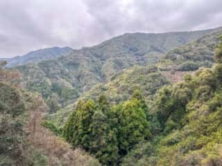四国八十八ヶ所霊場 第36番札所 青龍寺～第37番札所 岩本寺