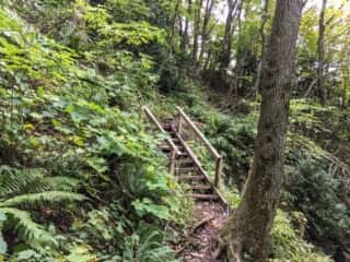 白神岳登山道