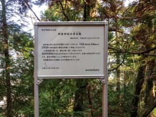 神倉神社の手水鉢
