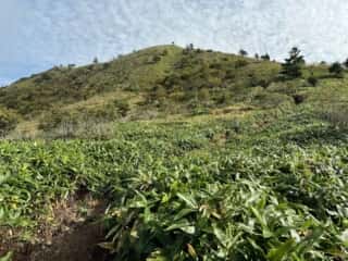 矢筈山・石堂山