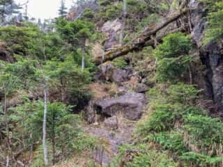 中岳登山道