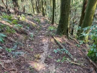 四国八十八ヶ所霊場 第42番札所 仏木寺〜第43番札所 明石寺