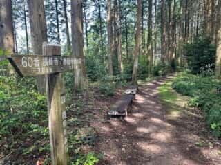 四国八十八ヶ所霊場 第60番札所 横峰寺〜第61番札所 香園寺奥の院