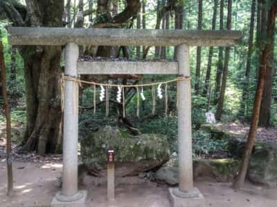 真名井神社