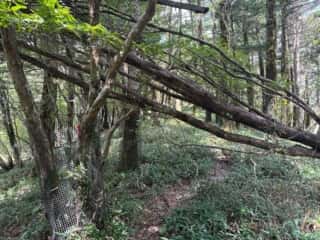 白髪山・平和丸
