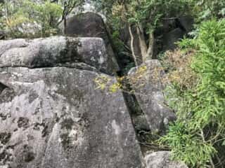 筑波山 高天原