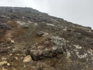 十勝岳望岳台登山口コース