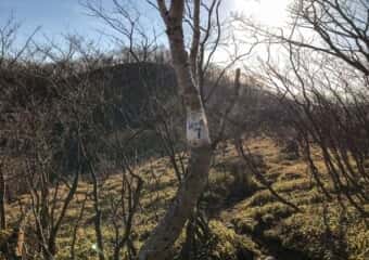駒ケ岳 登山道