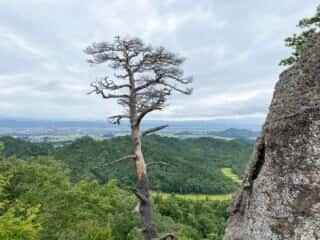 一年峰「紙飛ばし岩」近くからの景色