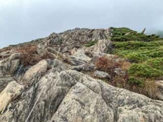 早池峰山 登山道