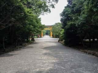 宇佐神宮　参道と大鳥居