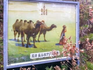 高遠 長谷部アジア公園
