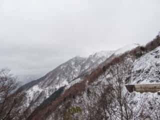 剣山スーパー林道