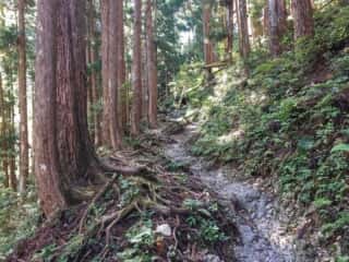 山上ヶ岳（大峯山）登山道