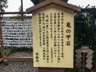 宝珠山立石寺　亀の甲石　磐座